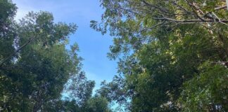 MIDEREC anuncia reapertura del Parque del Este y el Centro Olímpico