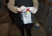 DNCD y Ministerio Público decomisa drogas en Pedro Brand y Los Alcarrizos