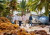 David Collado visita Playa Rincón para ejecutar operativo de limpieza ante llegada masiva de sargazo
