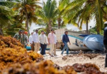 David Collado visita Playa Rincón para ejecutar operativo de limpieza ante llegada masiva de sargazo