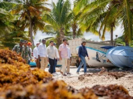 David Collado visita Playa Rincón para ejecutar operativo de limpieza ante llegada masiva de sargazo