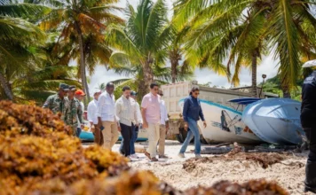 David Collado visita Playa Rincón para ejecutar operativo de limpieza ante llegada masiva de sargazo