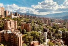 Diferentes sectores impulsan la economía del país en este 2026