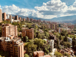 Diferentes sectores impulsan la economía del país en este 2026