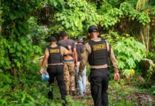 DNCD desmantela puntos de drogas y ocupa armas en La Vega