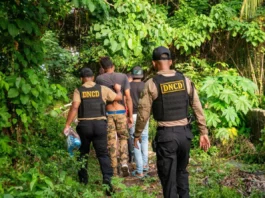 DNCD desmantela puntos de drogas y ocupa armas en La Vega