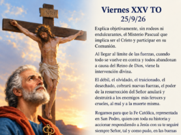 Viernes XXV TO 25/9/26