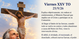 Viernes XXV TO 25/9/26