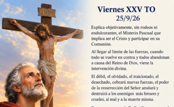 Viernes XXV TO 25/9/26