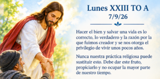 Lunes XXIII TO A 7/9/26