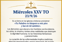 Miércoles XXV TO 23/9/26