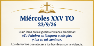 Miércoles XXV TO 23/9/26