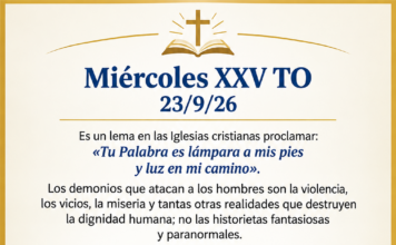 Miércoles XXV TO 23/9/26