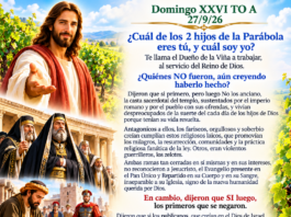 Domingo XXVI TO A 27/9/26