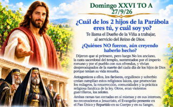 Domingo XXVI TO A 27/9/26