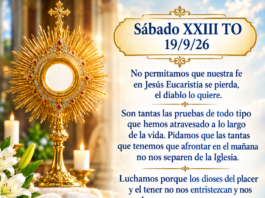 Sábado XXIII TO 19/9/26