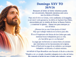 Domingo XXV TO A 20/9/26
