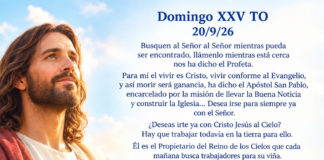 Domingo XXV TO A 20/9/26