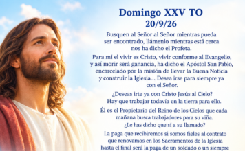 Domingo XXV TO A 20/9/26