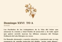 Domingo XXVI TO A 4/10/26