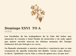 Domingo XXVI TO A 4/10/26