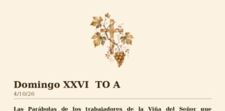 Domingo XXVI TO A 4/10/26