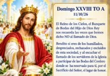 Domingo XXVIII TO A 11/10/26