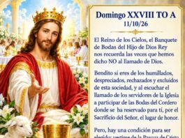Domingo XXVIII TO A 11/10/26