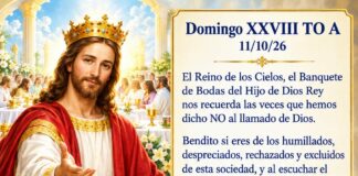 Domingo XXVIII TO A 11/10/26