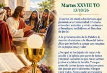 Miércoles XXVIII TO 14/10/26