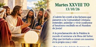 Miércoles XXVIII TO 14/10/26