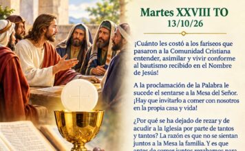 Miércoles XXVIII TO 14/10/26