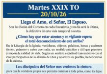 Martes XXIX TO 20/10/26