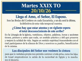 Martes XXIX TO 20/10/26