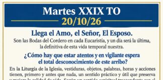 Martes XXIX TO 20/10/26
