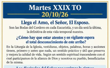 Martes XXIX TO 20/10/26