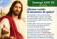 Domingo XXIX TO 18/10/26