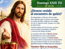 Domingo XXIX TO 18/10/26