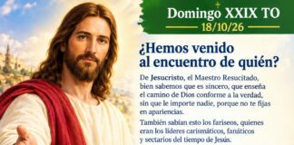 Domingo XXIX TO 18/10/26