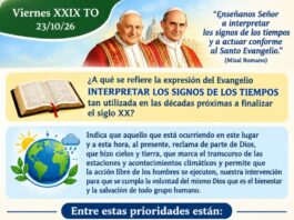 Viernes XXIX TO 23/10/26