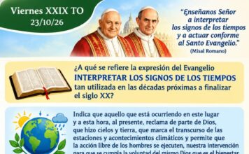 Viernes XXIX TO 23/10/26
