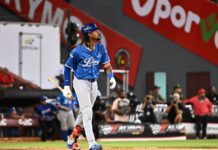 ¡Poder azul! Jonrones de Alcántara y Hernández lideran paliza del Licey
