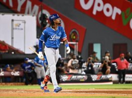 ¡Poder azul! Jonrones de Alcántara y Hernández lideran paliza del Licey