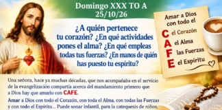 Domingo XXX TO A 25/10/26