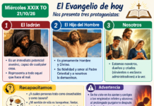 Miércoles XXIX TO 21/10/26
