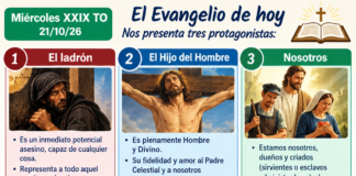 Miércoles XXIX TO 21/10/26