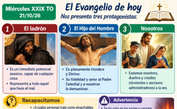 Miércoles XXIX TO 21/10/26